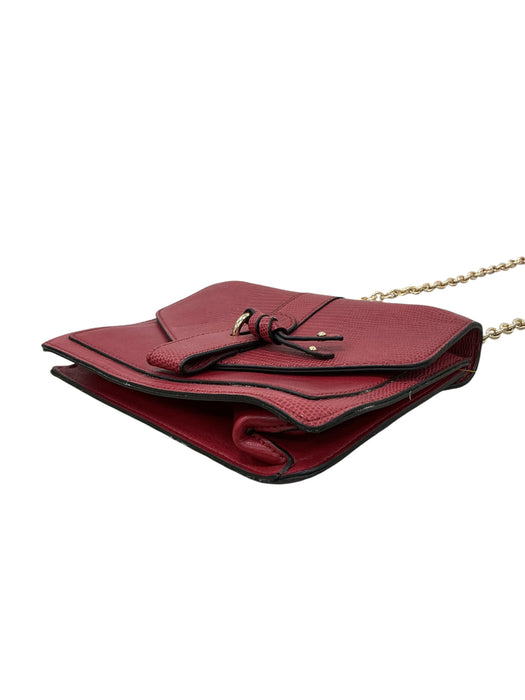 Bolso (ALDO)