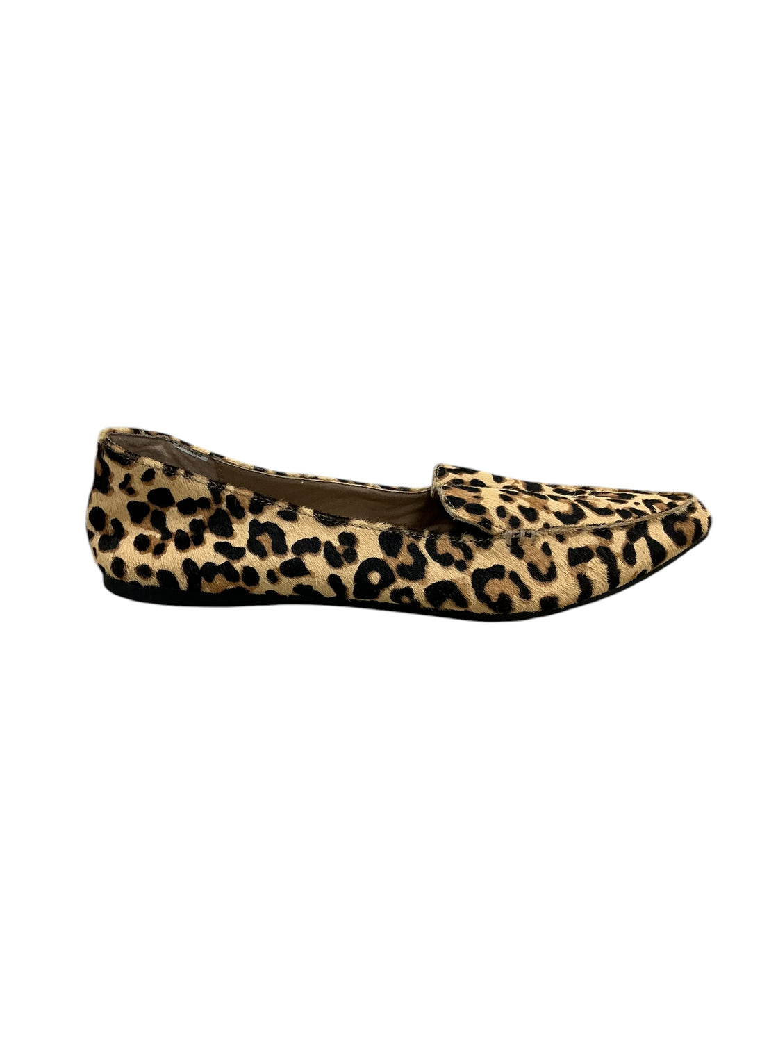 Zapato 8.5 (STEVE MADDEN)