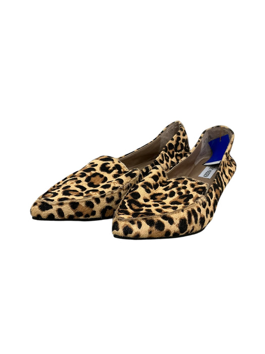 Zapato 8.5 (STEVE MADDEN)