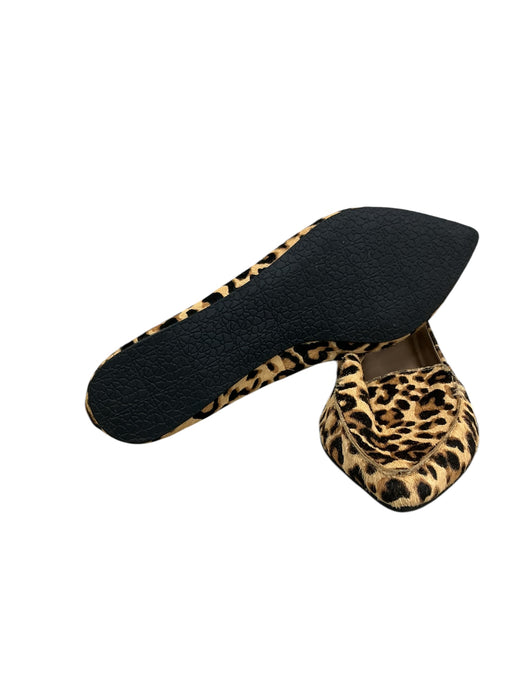 Zapato 8.5 (STEVE MADDEN)