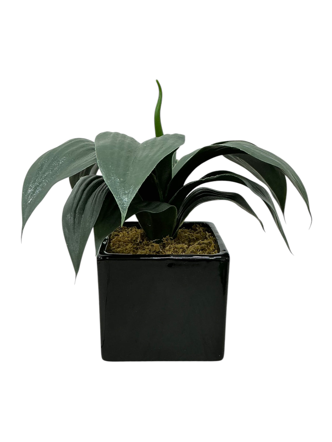 Planta artificial