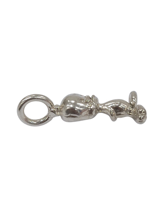 Dije de plata (925)