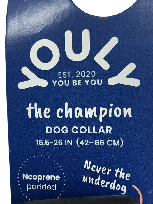 Collar para perro (YOULY)