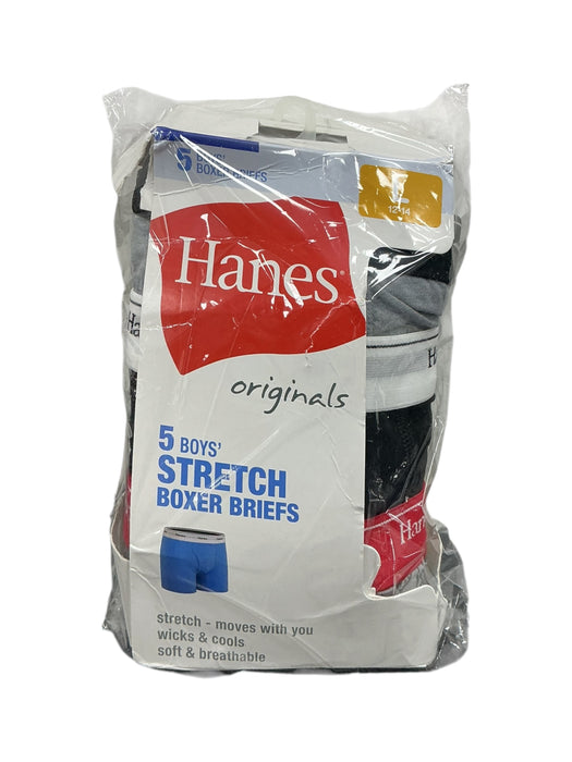 Ropa interior L (HANES)