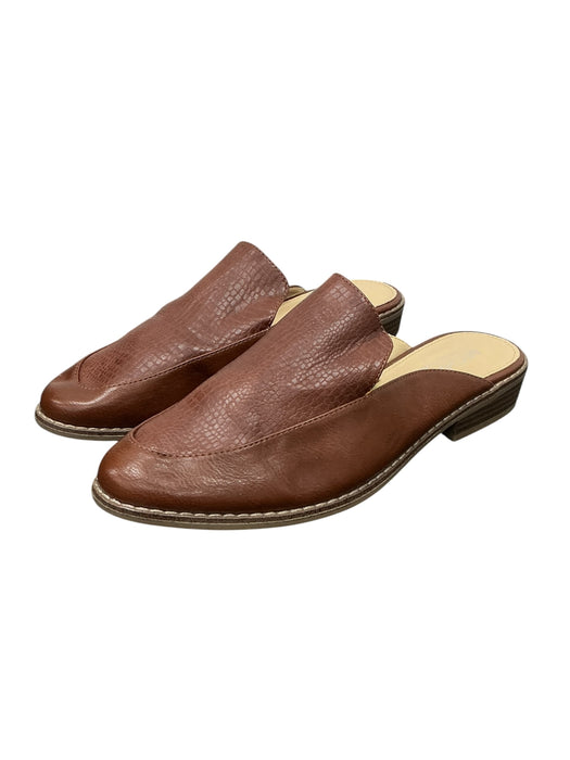 Zapato 8 (MICHAEL SHANNON)