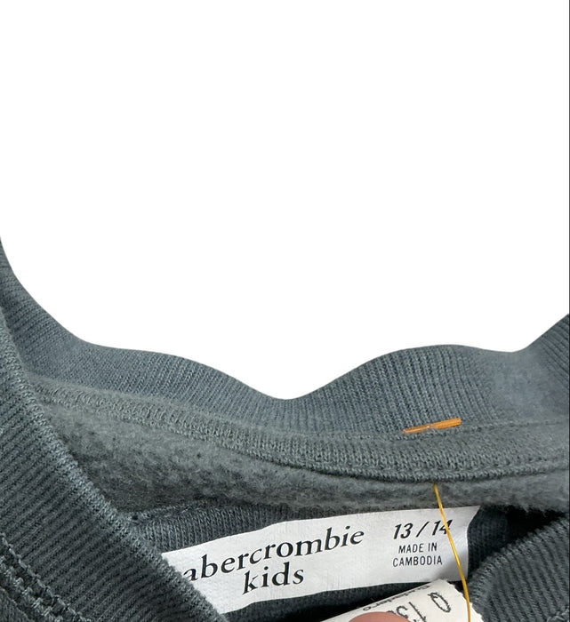 Sudadero 13 (ABERCROMBIE KIDS)