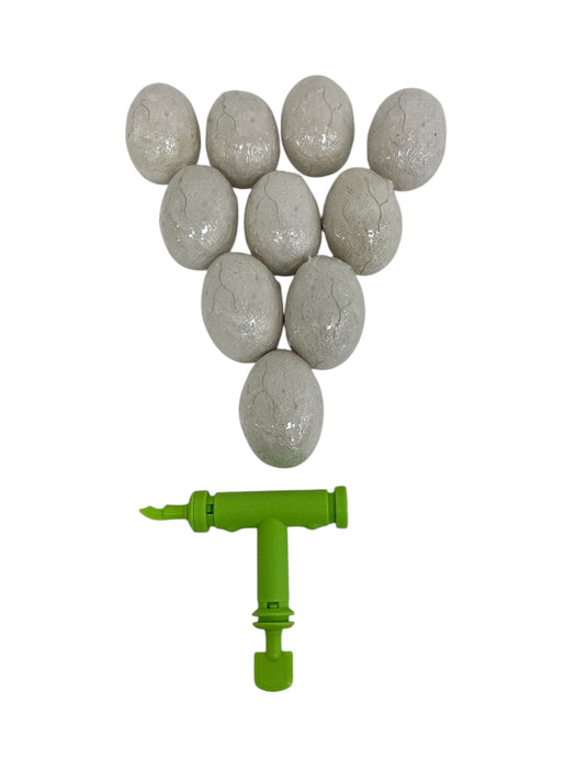 Excavación de T-Rex (DIG TEAM)