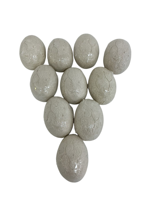 Excavación de T-Rex (DIG TEAM)