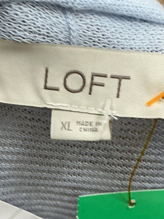 Suéter XL (LOFT)