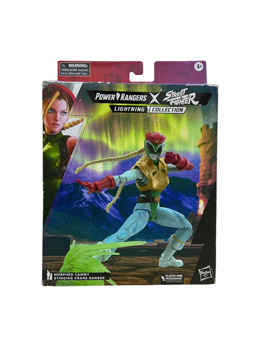 Power Ranger (HASBRO)
