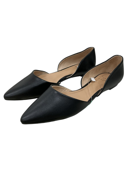 Zapato 7 (A NEW DAY)