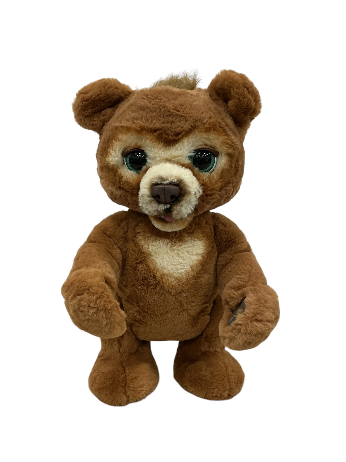 Osco curioso (FURREAL)