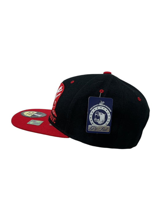 Gorra (PIT BULL)