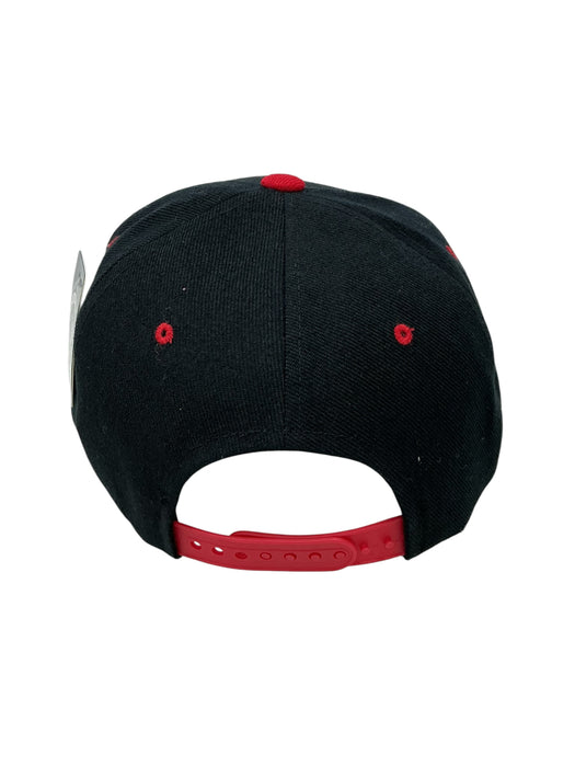 Gorra (PIT BULL)