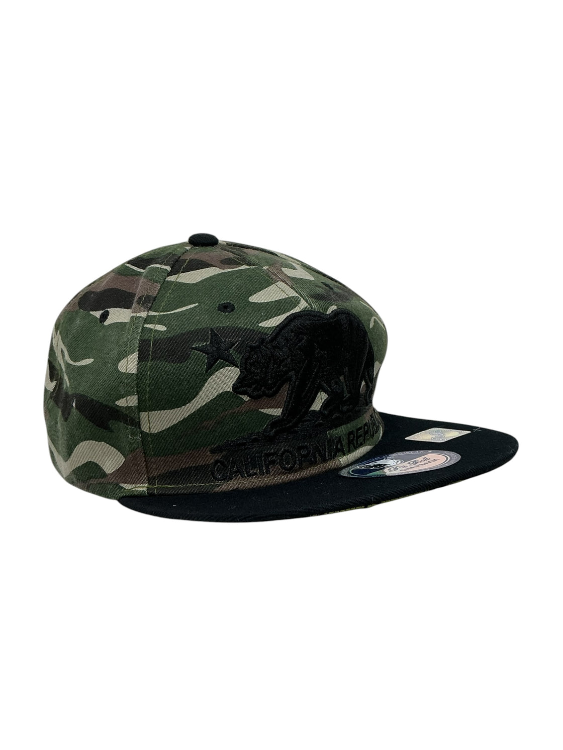 Gorra (PIT BULL)
