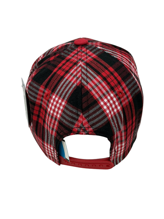Gorra (PIT BULL)