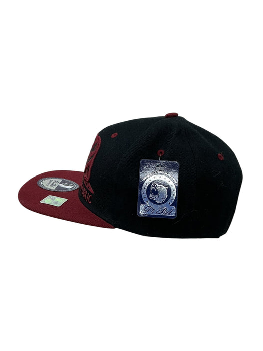 Gorra (PIT BULL)