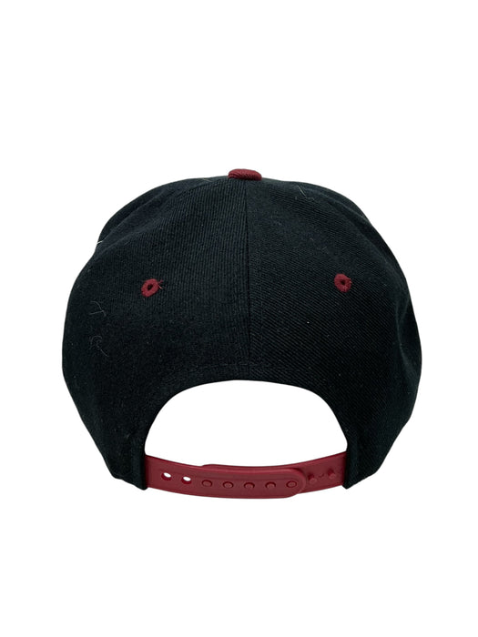 Gorra (PIT BULL)