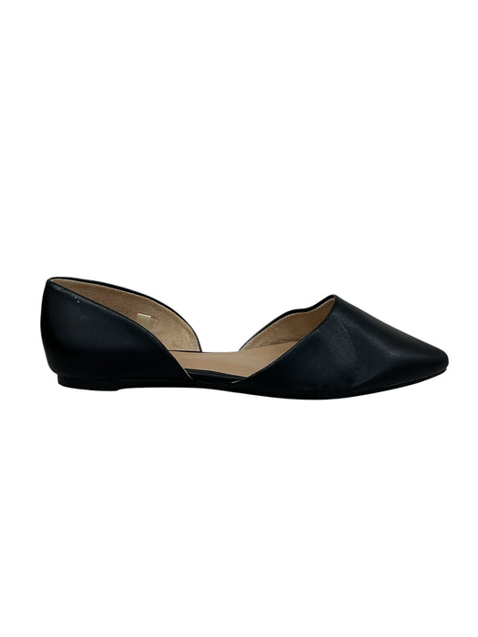 Zapato 8 (A NEW DAY)