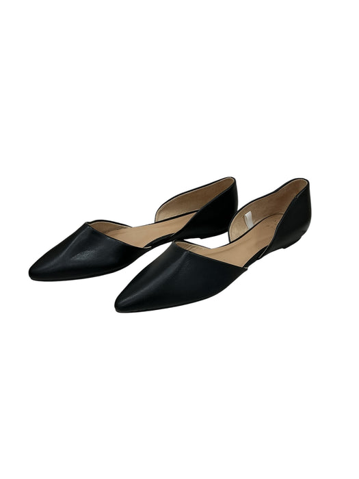 Zapato 8 (A NEW DAY)