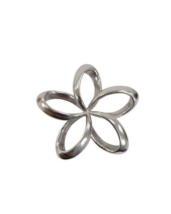 Dije de plata  (925)