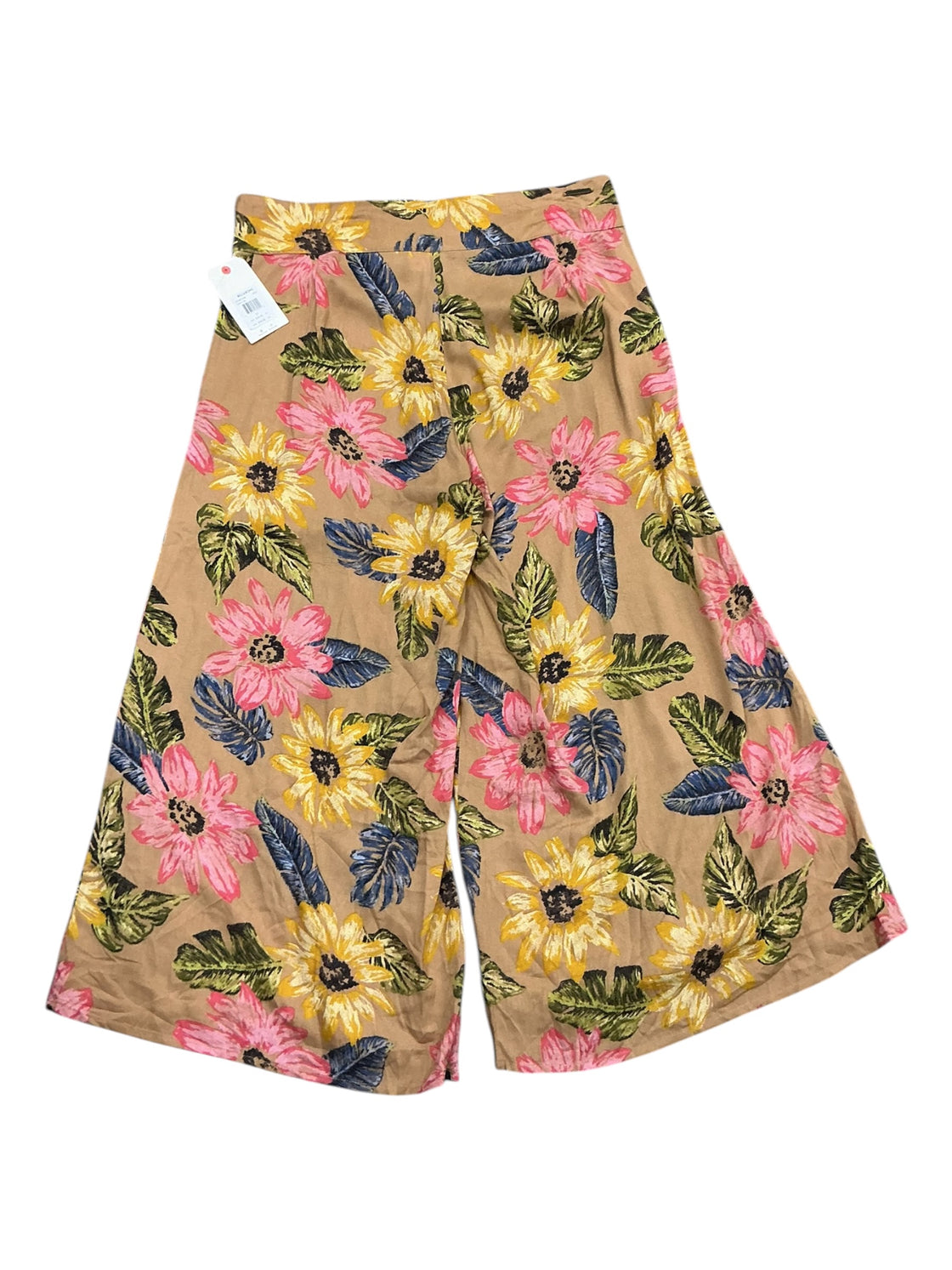 Pescador 22 (BILLABONG)