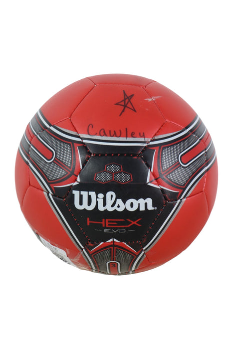 Pelota (WILSON)