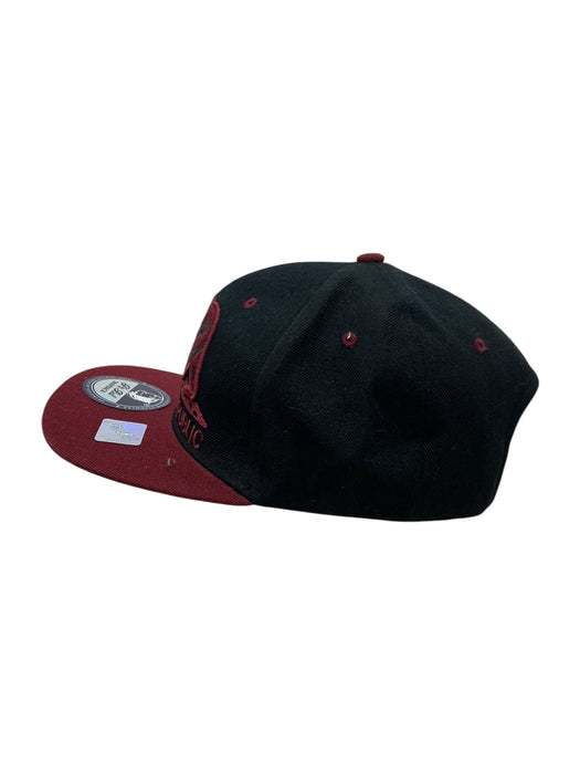 Gorra (FLEXFIT)