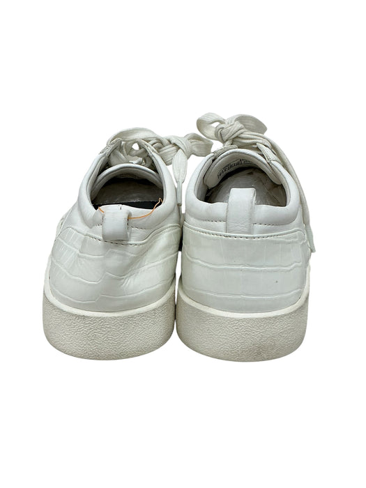 Tenis 8