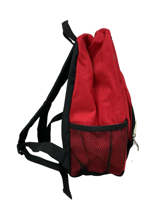 Mochila (EVEREST)
