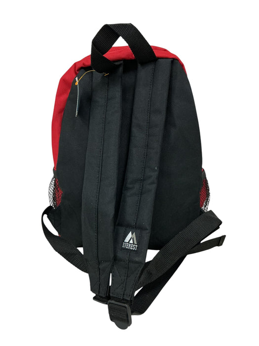 Mochila (EVEREST)