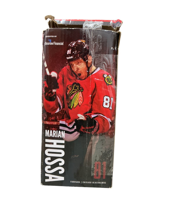 Marian Hossa (MESIROW FINANCIAL)