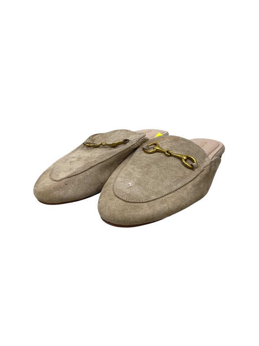 Zapato 8 (MINORSU)