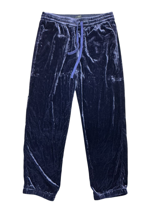 Pants 8 (J.CREW)