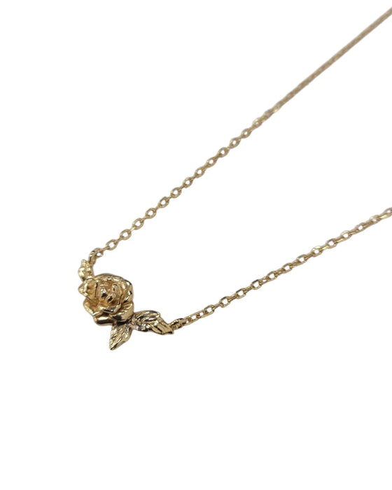 Cadena de plata (925)