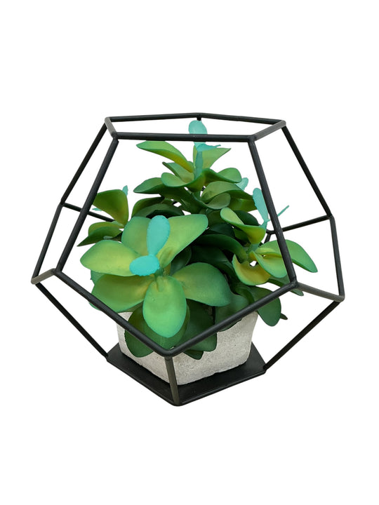 Planta de adorno