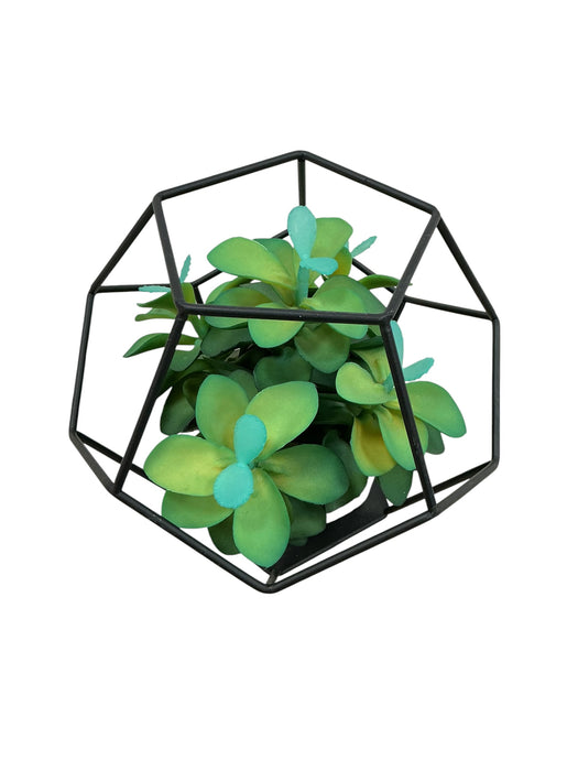 Planta de adorno