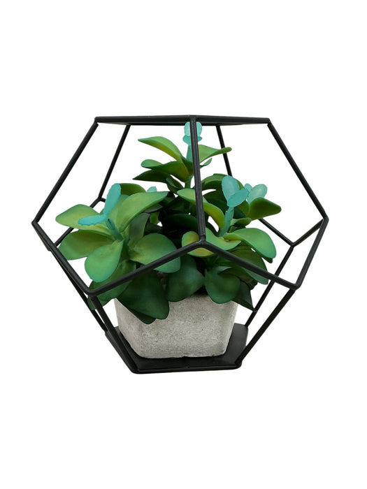 Planta de adorno
