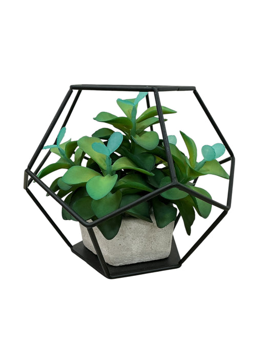 Planta de adorno