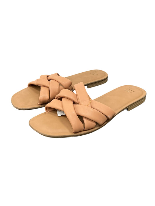 Sandalia 8.5 (A NEW DAY)