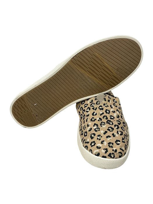 Zapato 7