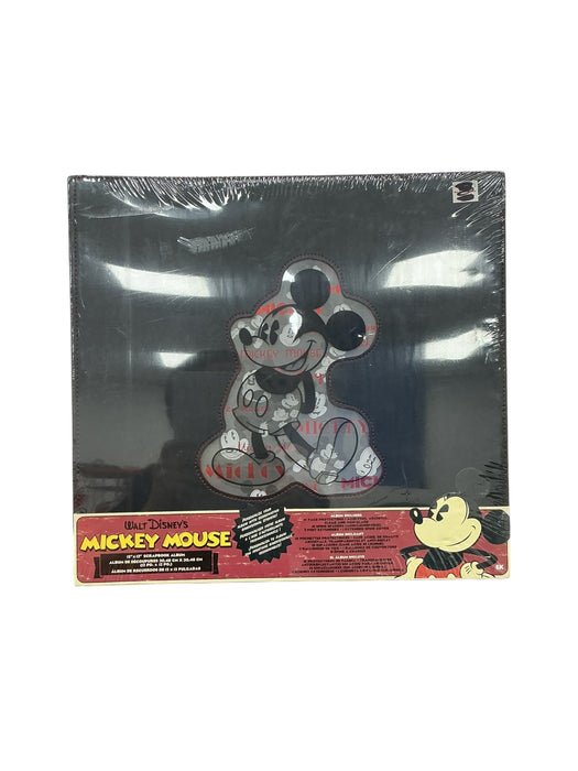 Álbum de recuerdos (DISNEY)