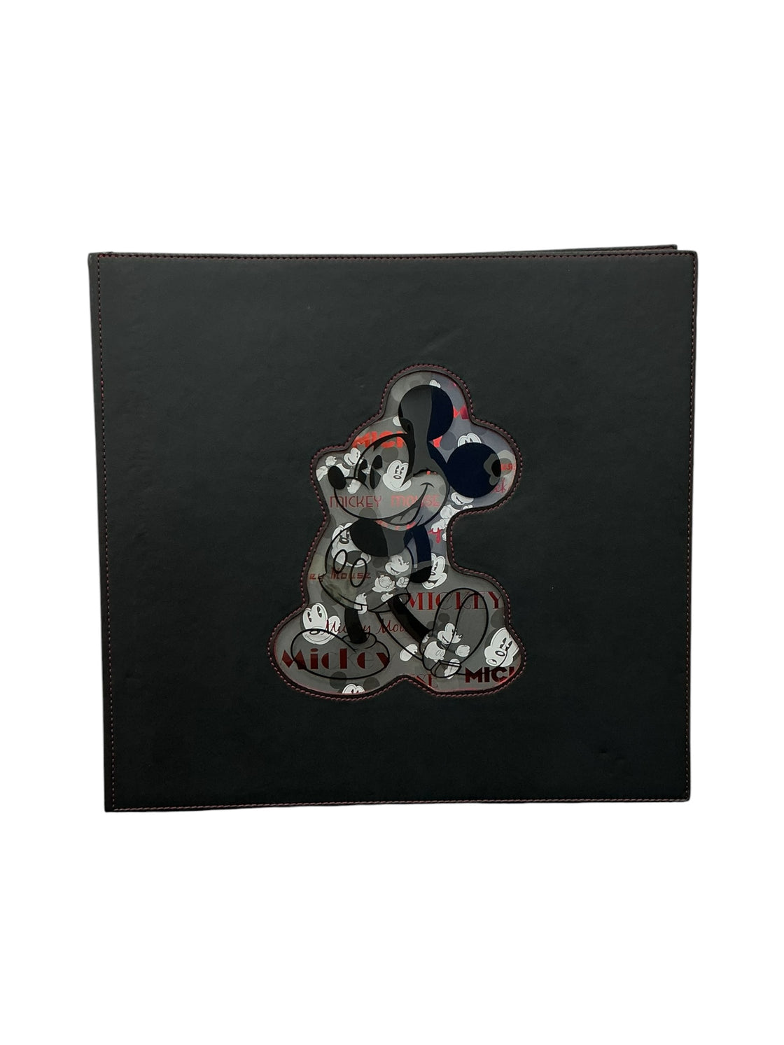Álbum de recuerdos (DISNEY)