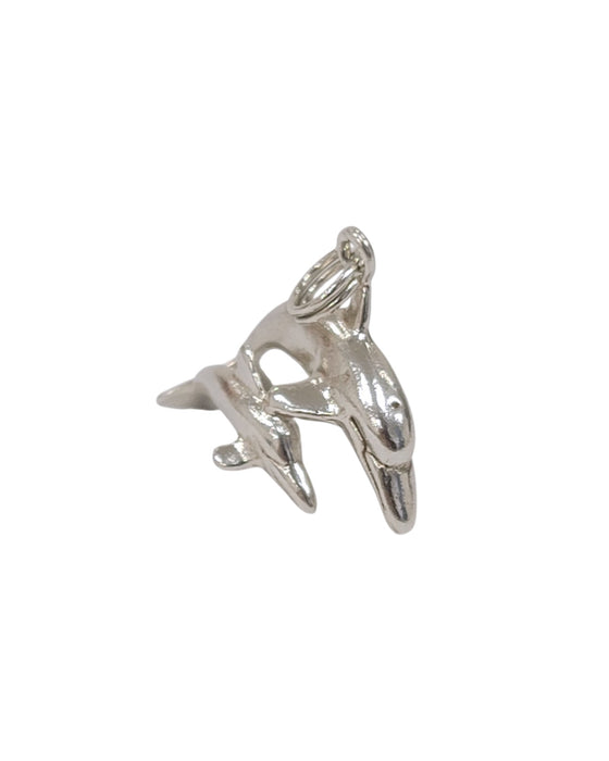 Dije de plata  (925)
