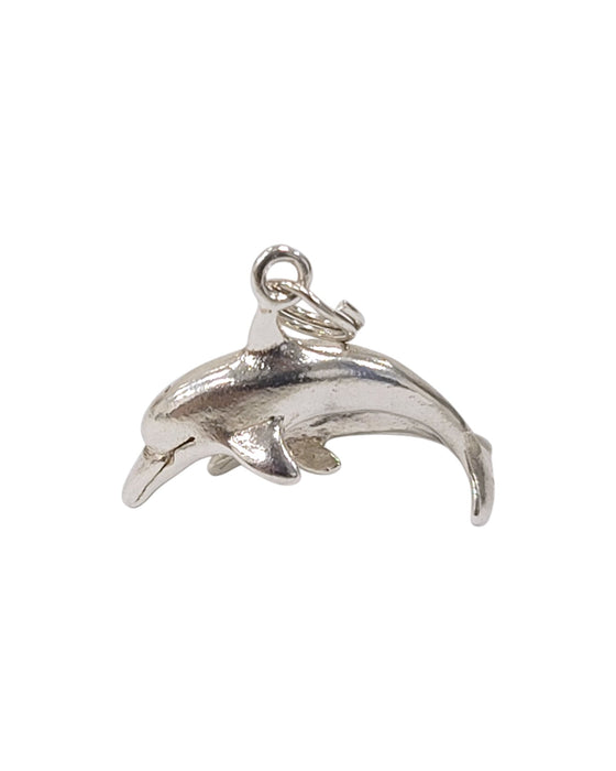 Dije de plata  (925)