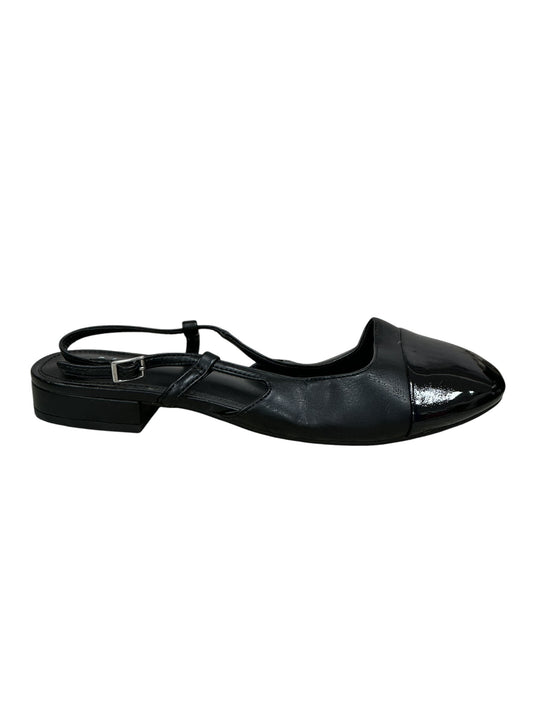 Zapato 6.5 (A NEW DAY)