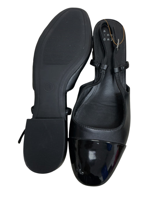 Zapato 6.5 (A NEW DAY)
