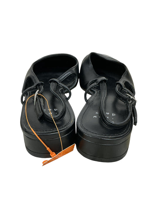 Zapato 6.5 (A NEW DAY)