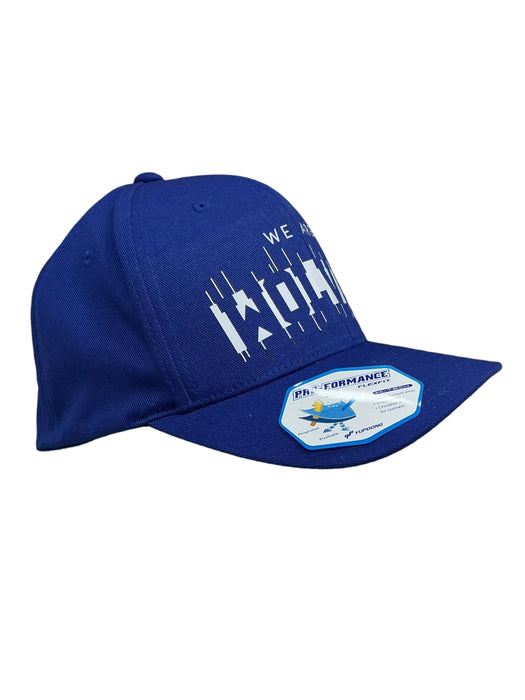 Gorra (FLEXFIT)
