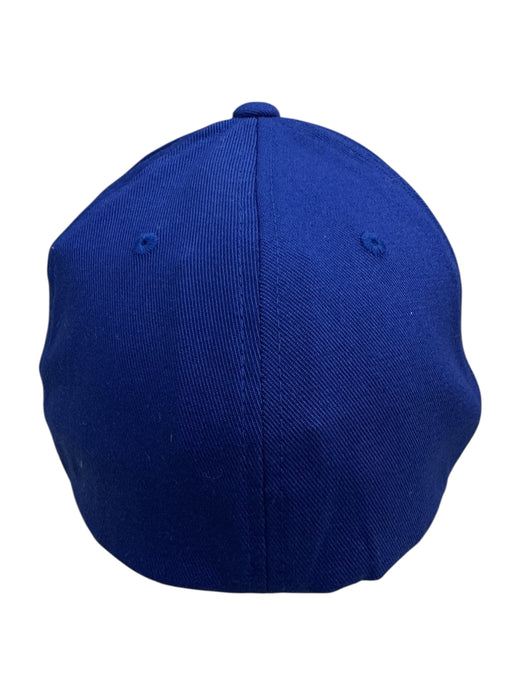 Gorra (FLEXFIT)